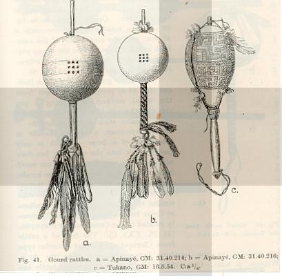 Izikowitz. Maraca perfurada